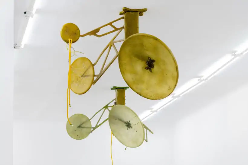 Triennale Milano: mostra autunnale Davide Allieri